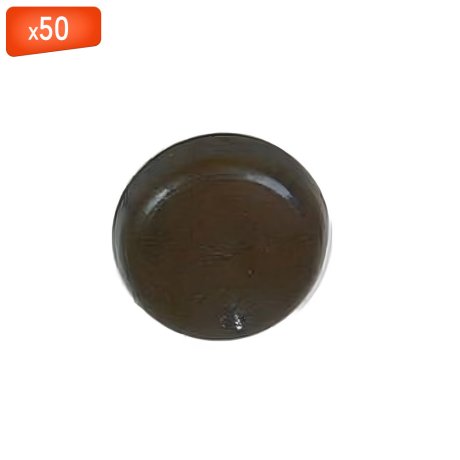 Capuchon marron de recouvrement vis béton T30, 50/sachet - ING FIXATIONS