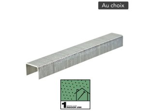 Agrafes T50 Galva, au choix - MILWAUKEE