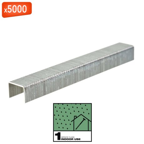 Agrafes T50 Galva, 10 mm, par 5000 - MILWAUKEE