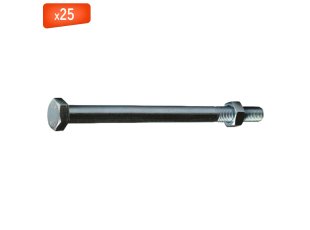 Boulon de charpente tête hexagonale avec écrou, zingué, 16 x 300 mm, 25/bte - VISWOOD