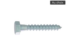 Tirefond tête hexagonale acier zingué blanc, au choix - VISWOOD