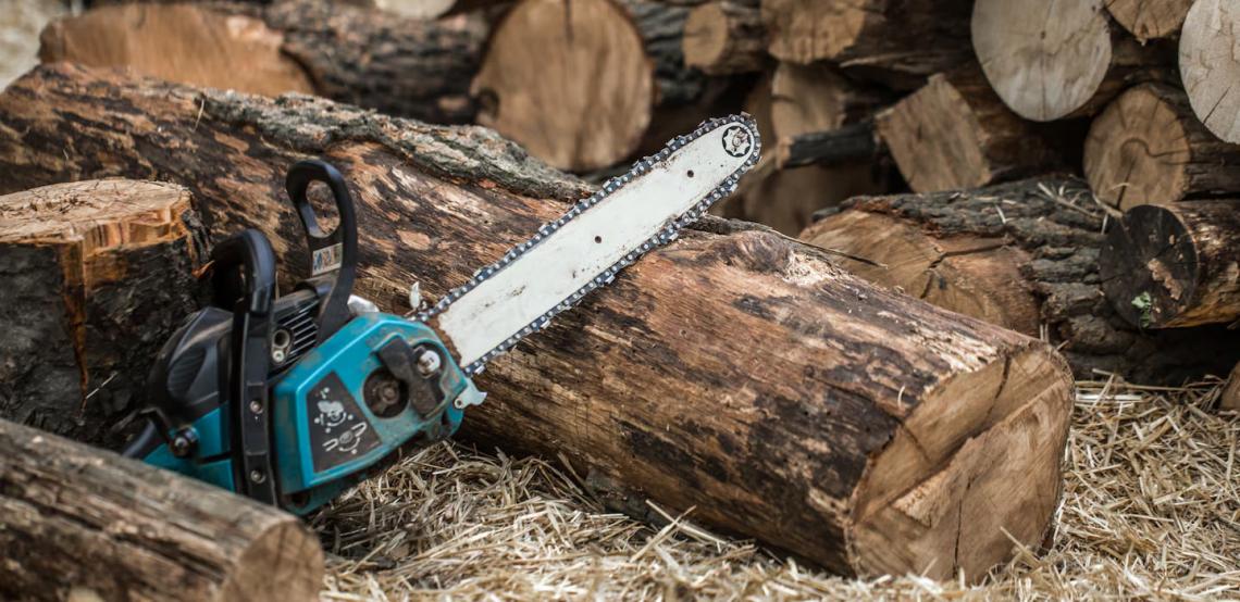 Tron&ccedil;onneuses &eacute;lectriques, thermiques et &agrave; batterie